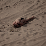 Human Body